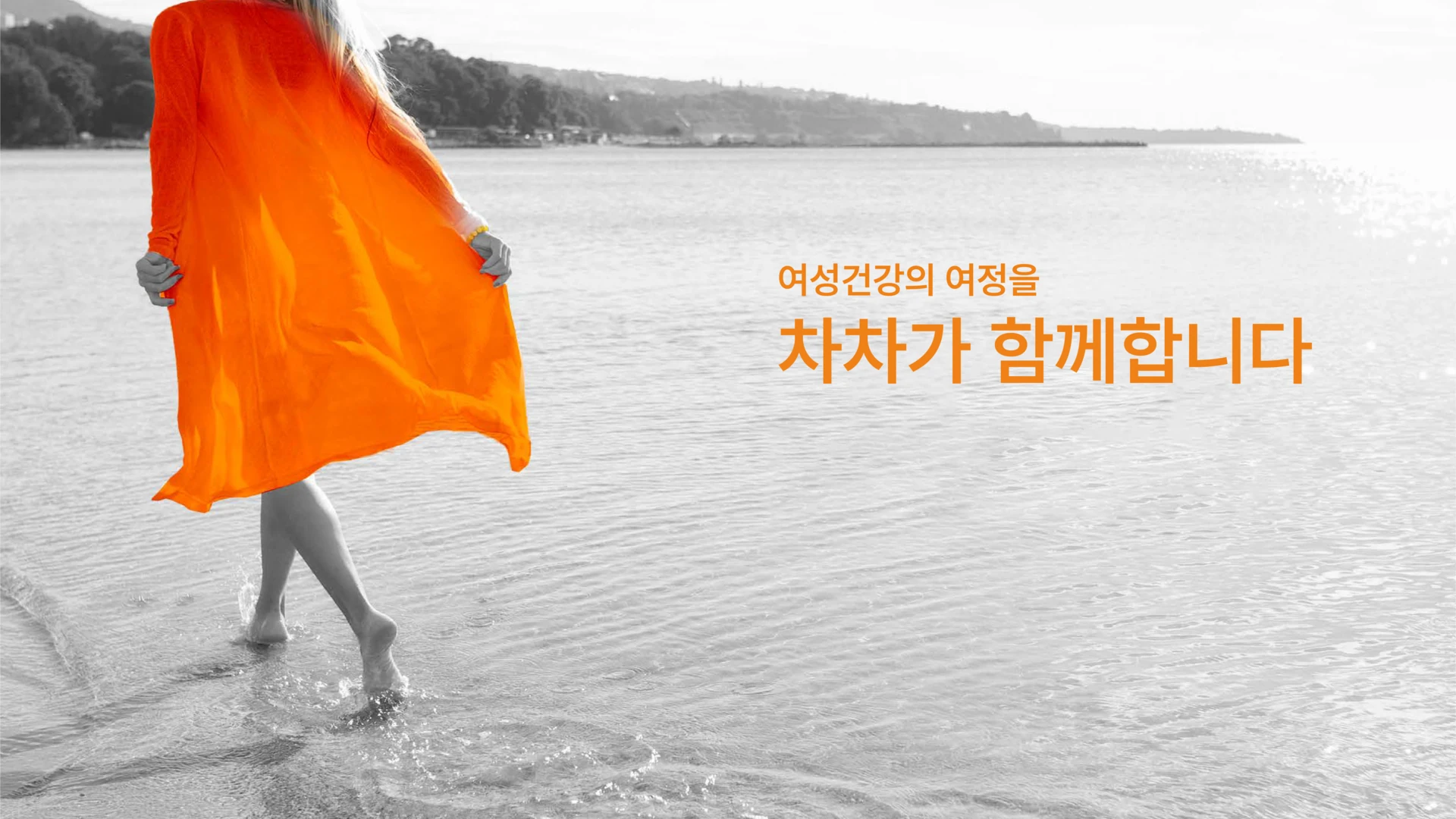 차차여성의원 공식 메인 비주얼 — 여성건강의 여정을 차차가 함께합니다